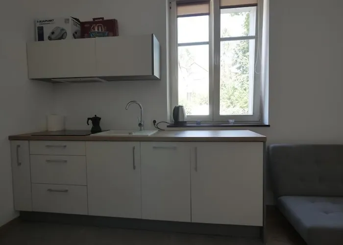 Joyful アパート ソポト